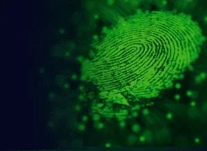 Exploring The Vital Role Of A Cybersecurity Distributor